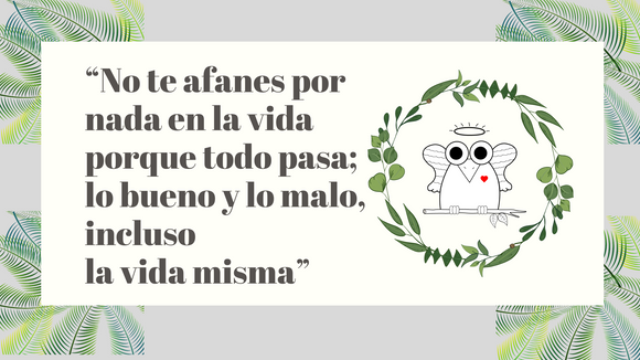 TODO PASA